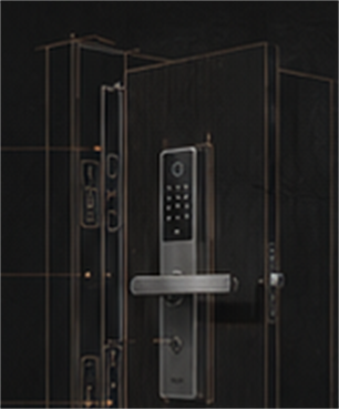 Indoor Door Smart Locks